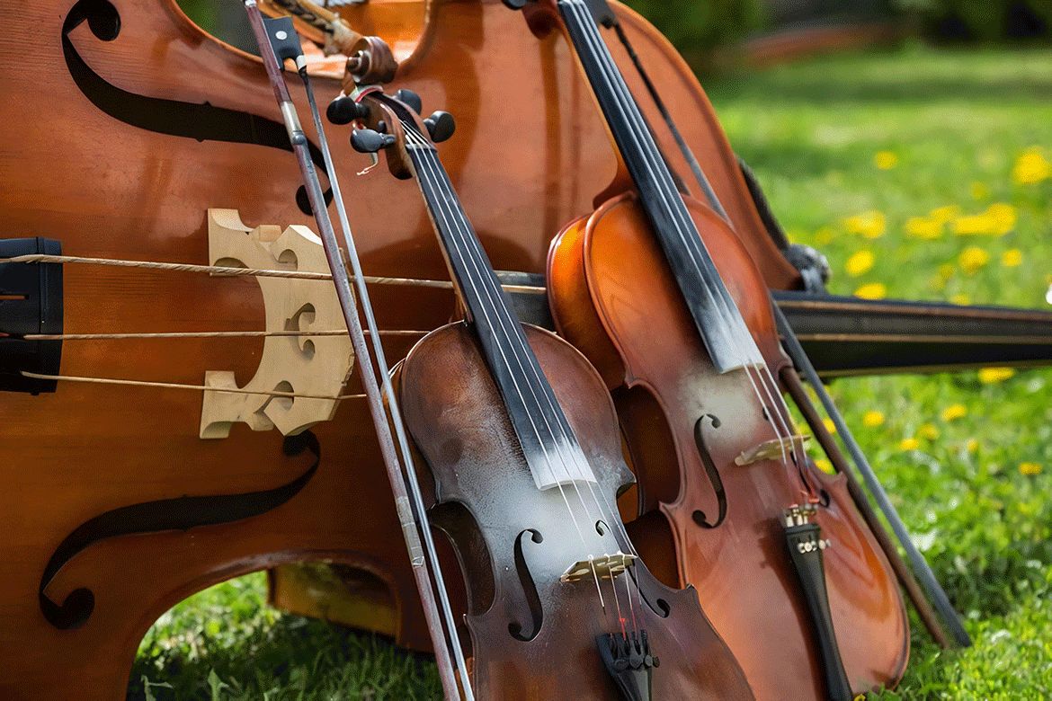 learn Violin Alto
