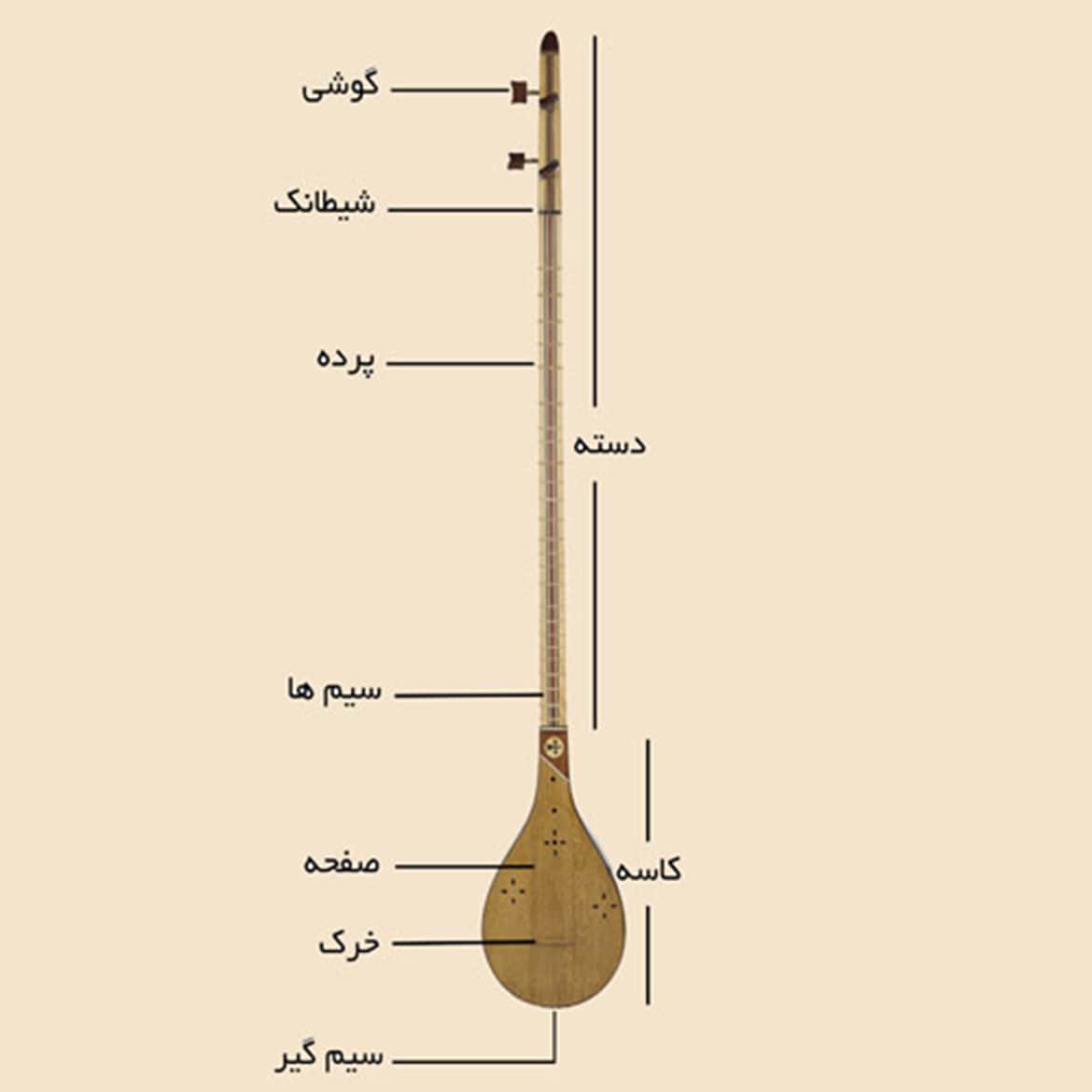 قسمت های مختلف سه تار