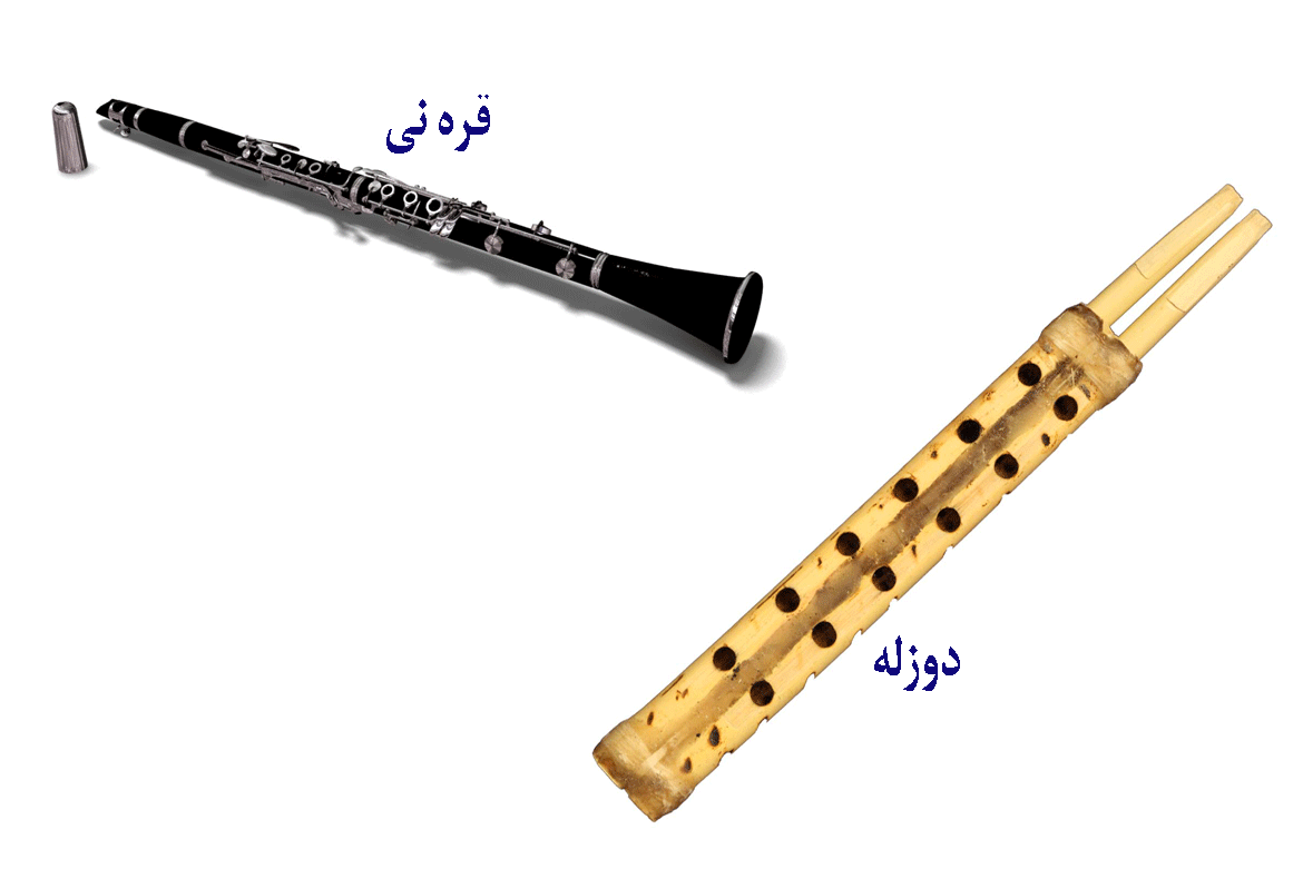 انواع نی