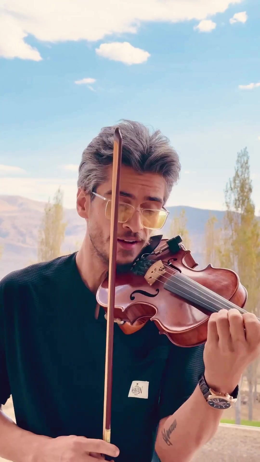 violin player mehdi habibi