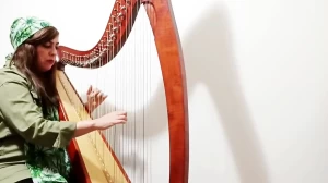 harp with fatemeh haghparast
