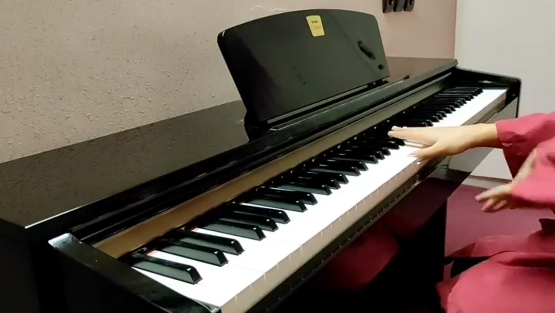 Chopin prelude 4 با اجرای استاد آرزو بخشنده