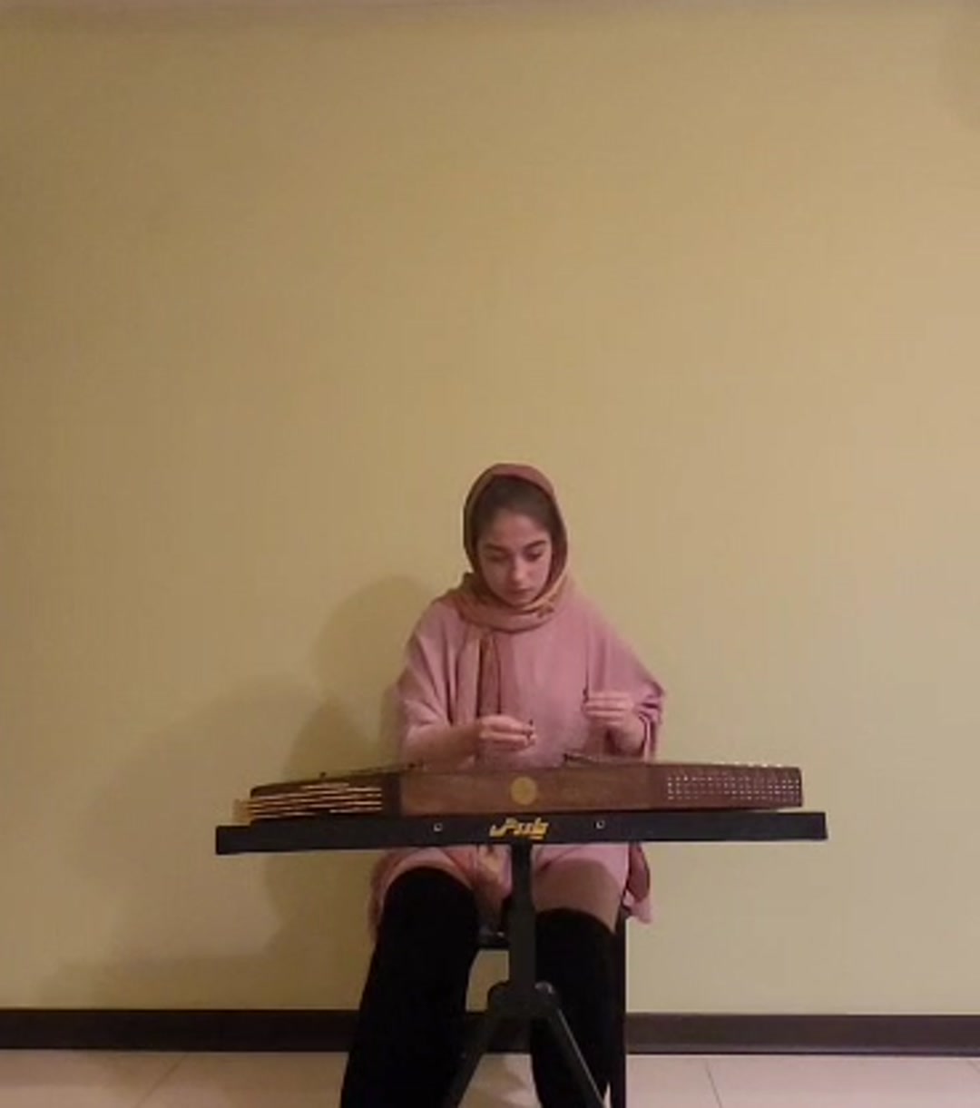 ویدیو اجرای اساتید